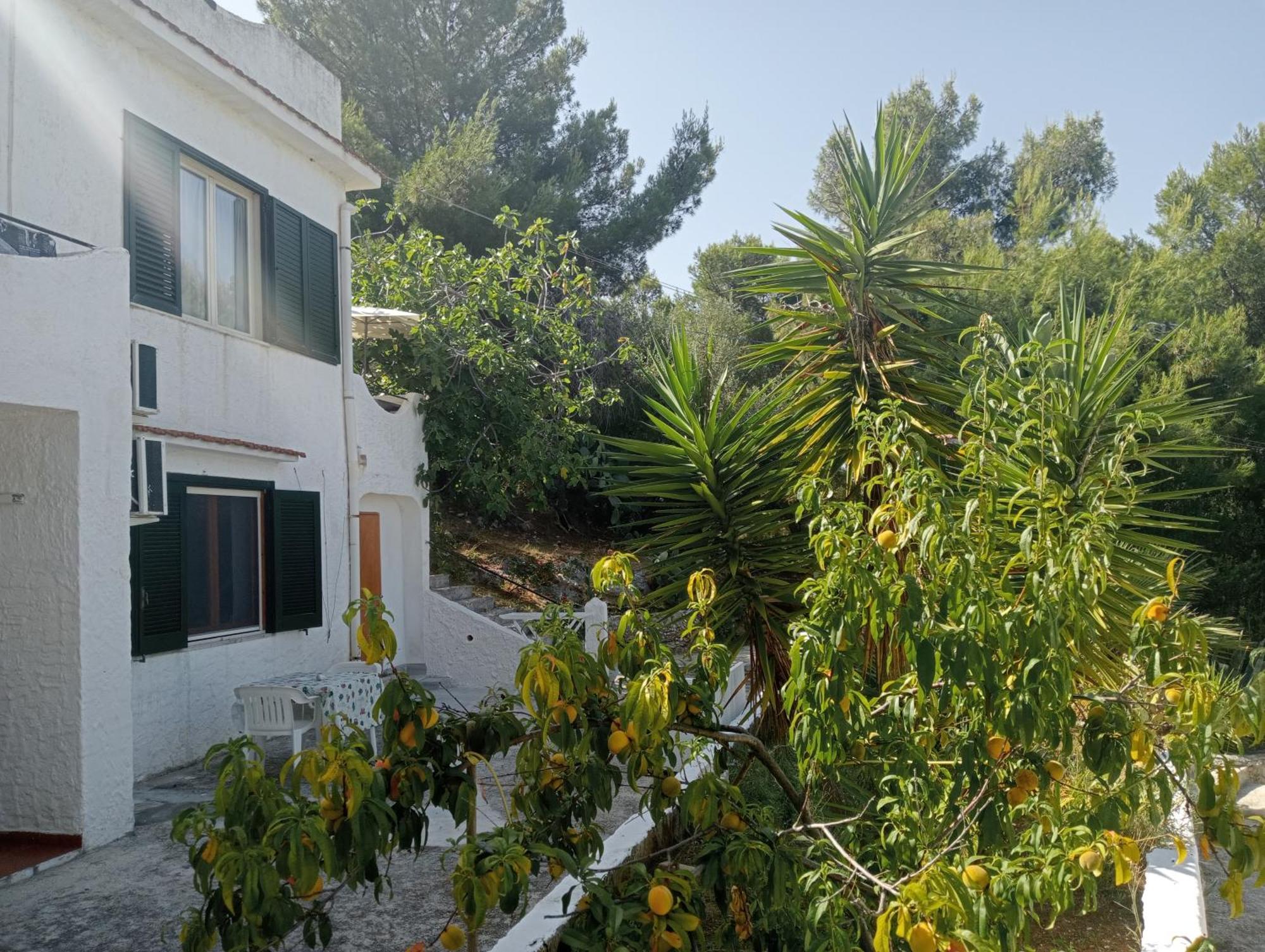 Residence Dolce Far Niente Vieste Buitenkant foto