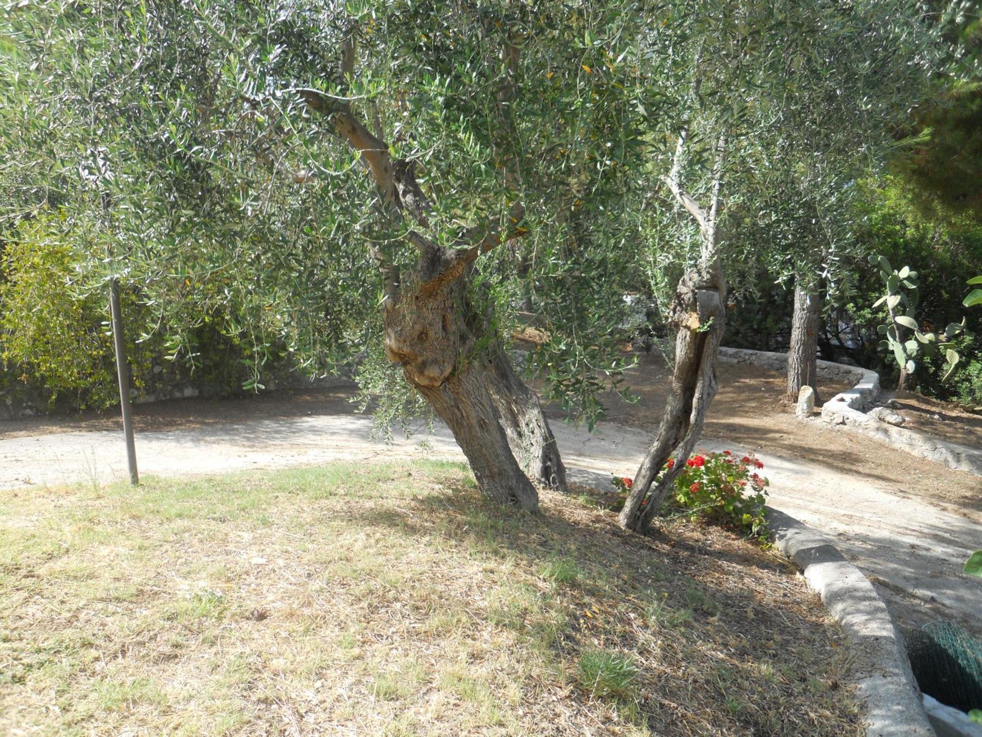 Residence Dolce Far Niente Vieste Buitenkant foto