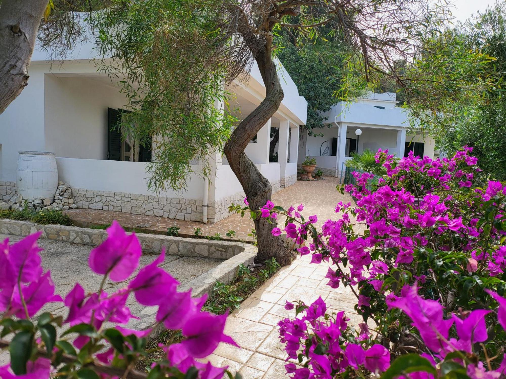 Residence Dolce Far Niente Vieste Buitenkant foto